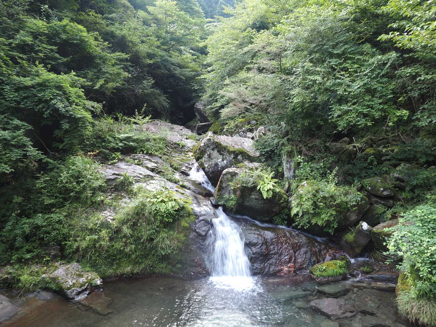 赤星山 往復コースの写真