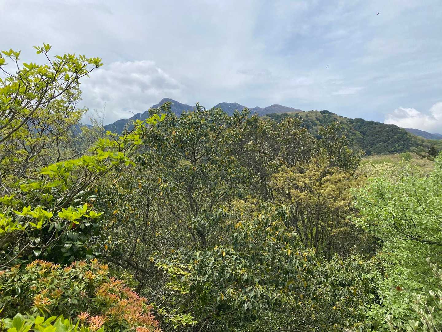 　　　御在所岳が見えました