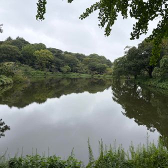 三ツ池というだけあって、池上幾つもあります☺️

晴れていれば綺麗だろうなと思いつつ、晴れていたら山に行くので来ないよな🤣

グレーピークの標識は見当たりませんでした。