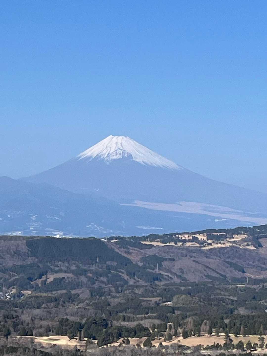 巣雲山-大丸山 往復コースの写真