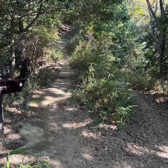 ここから堂徳山方面へは行かずに北野へ下ります。