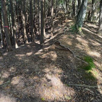 右から来て、左へ行きます