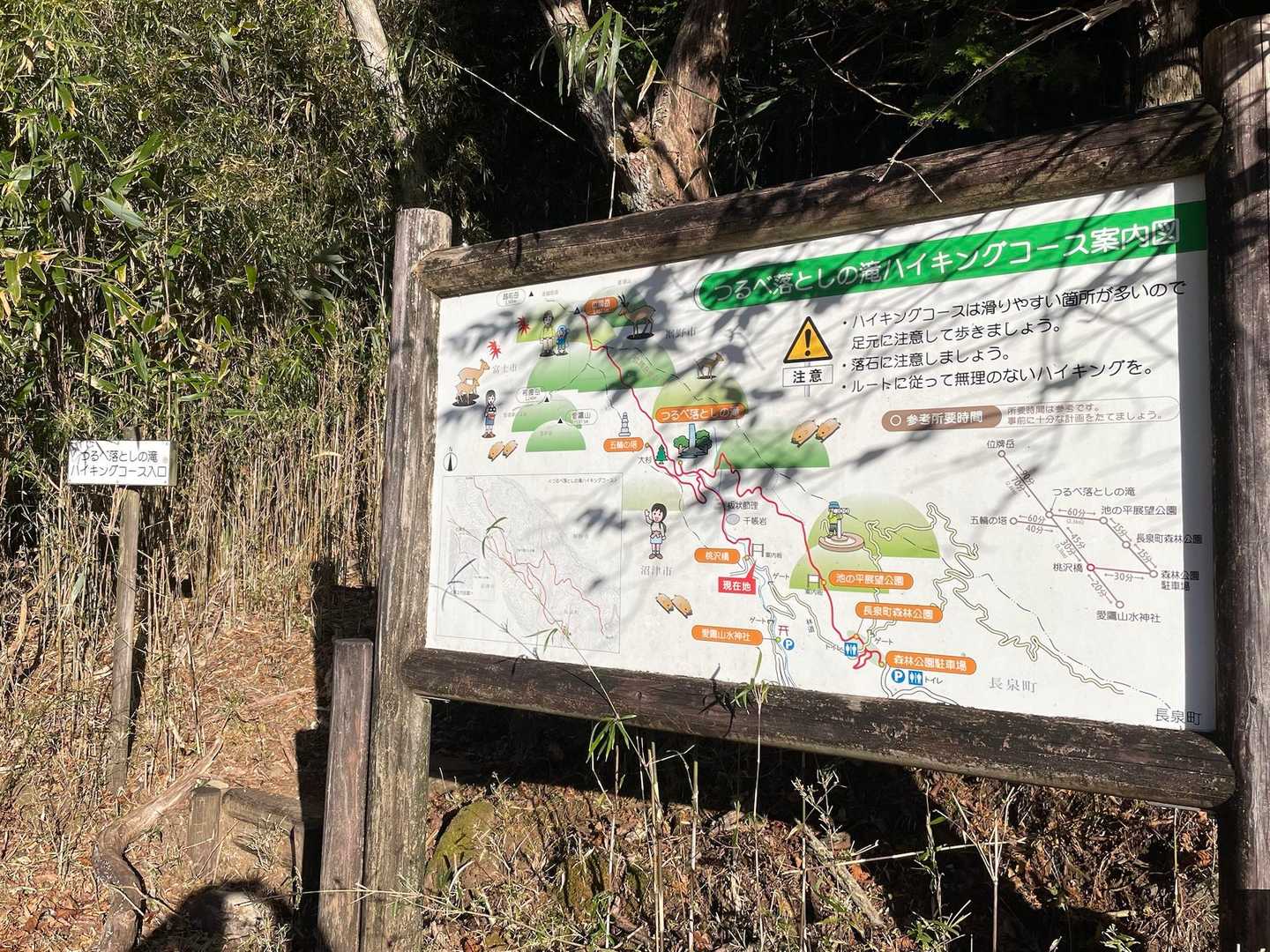 つるべ落としの滝コースとの分岐🪧
こっちは行きません🤭