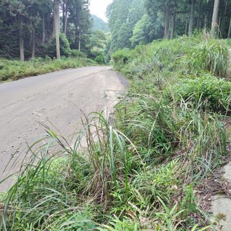 経ヶ峰北口の駐車場