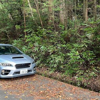 お疲れ⛰️
めっちゃ疲れた😵
また筋肉痛だよなぁ〜😮‍💨