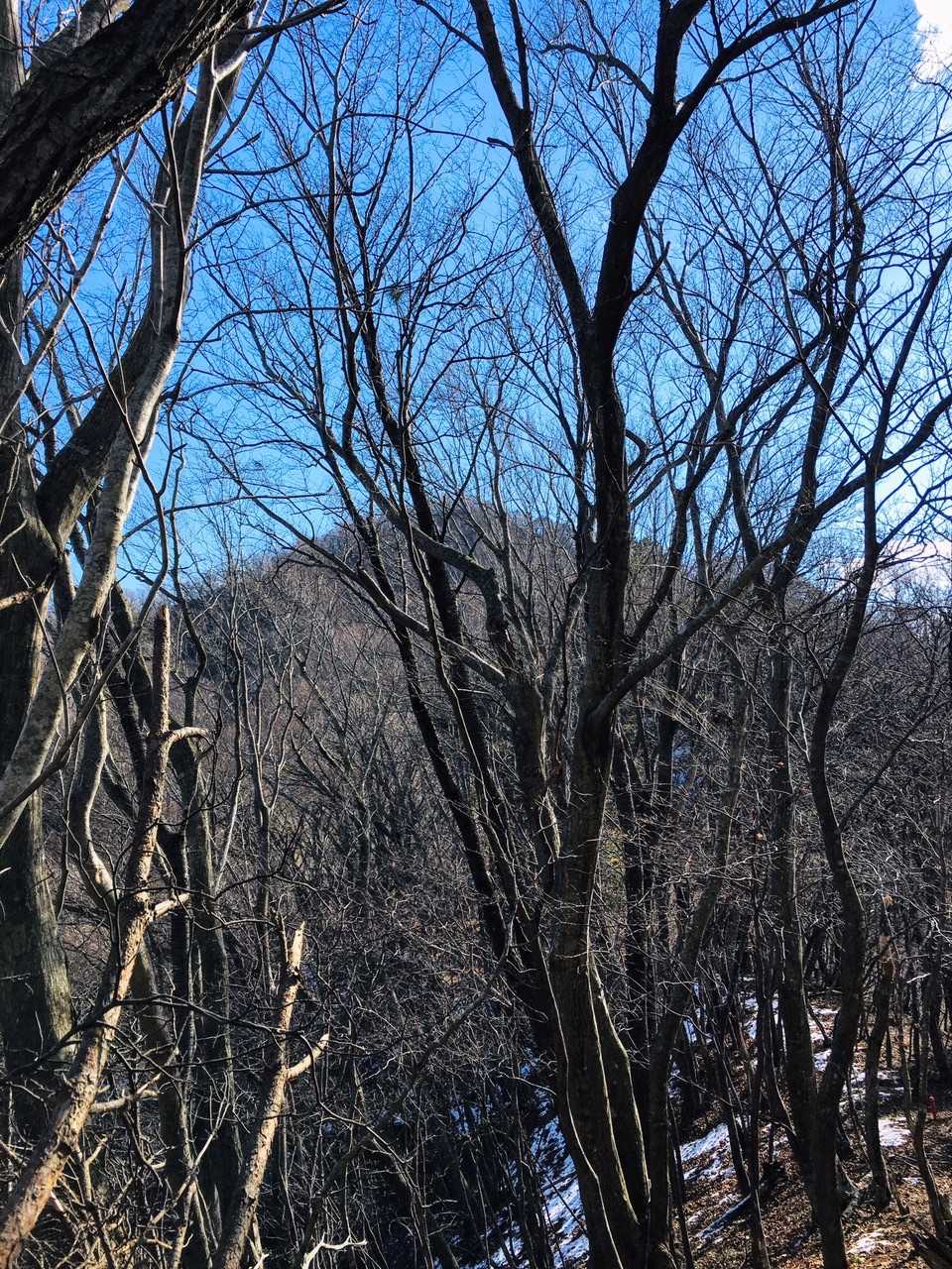 大六山に行ってみる