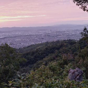 東ベンチから