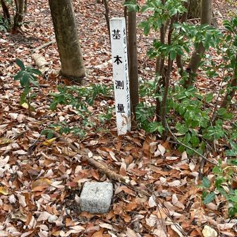菅田山山頂 菅田四等三角点（標高43.1m）