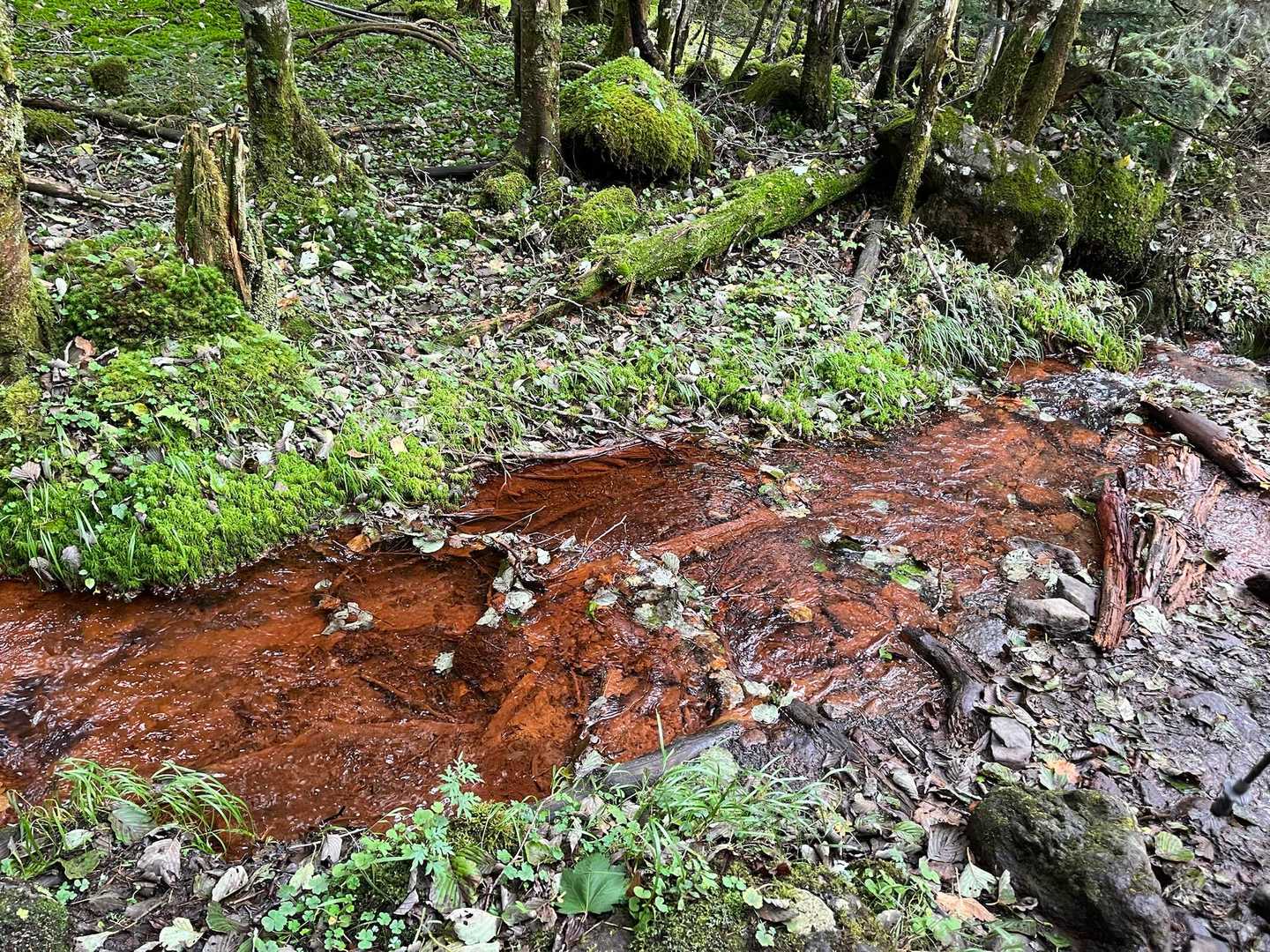 赤い土壌に流れる水💧

酸化鉄を多く含む土壌や岩石が特徴的
ということでしょうか🧐