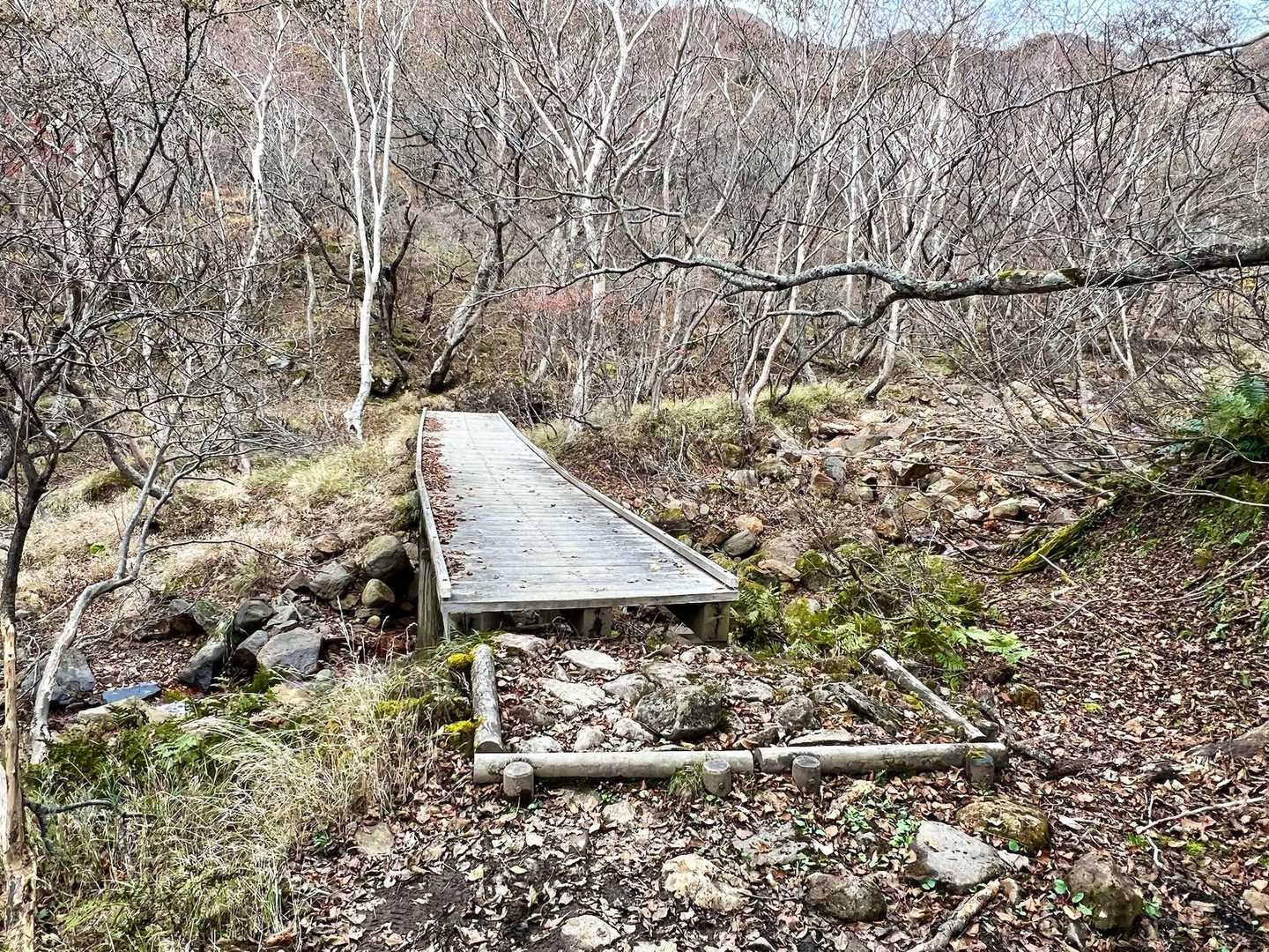 峠の茶屋登山口-朝日岳-隠居倉 周回コースの写真