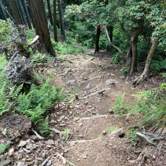 お次は今日一番の急下り💦

今日3人目とスライド