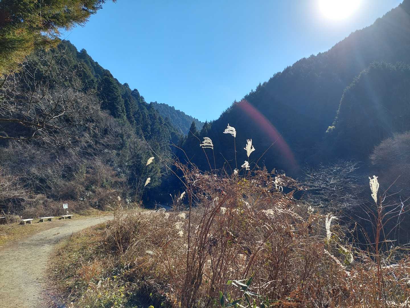 なんか春が近づいてきてる感じ♪
ススキが写ってますが…(^^;