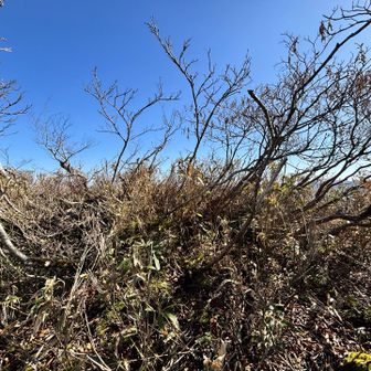 壁小屋丸山頂。
実は小屋とか建ってないんですよ。
