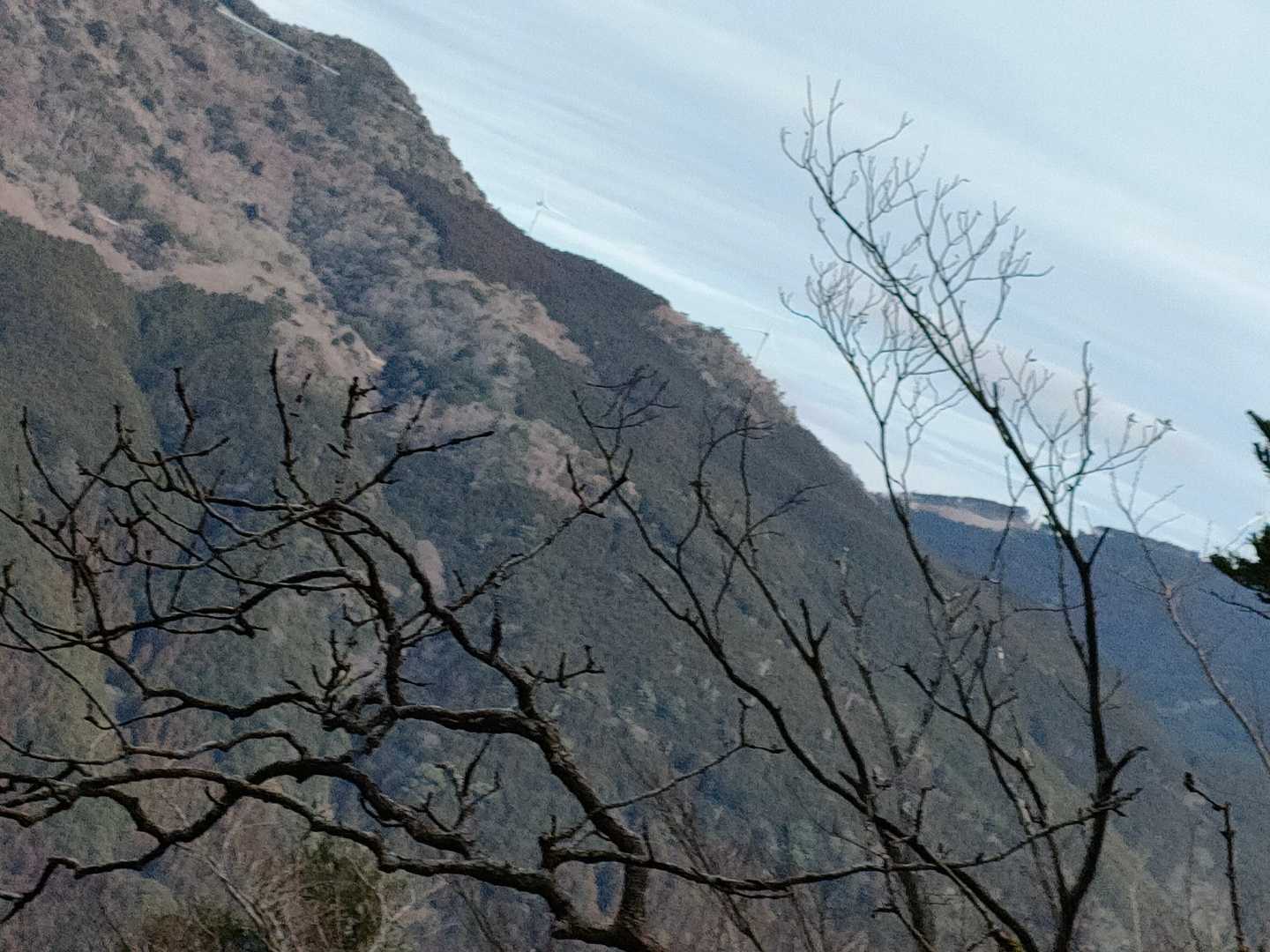神出ノ峰-471m峰 周回コースの写真