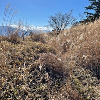 昔の広い道が現れます
