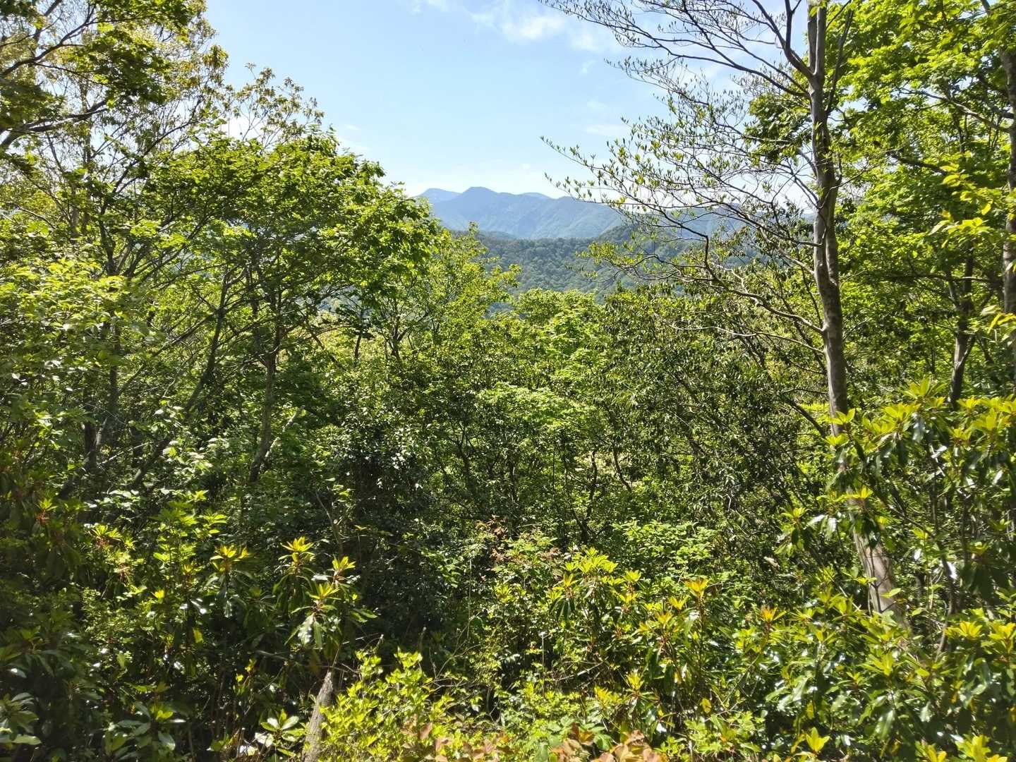 市谷の登山口-蟹ノ目山 周回コースの写真