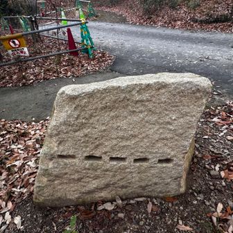 これが名古屋城石垣の！！？

こーいうの分かるってすごいなぁ🤔