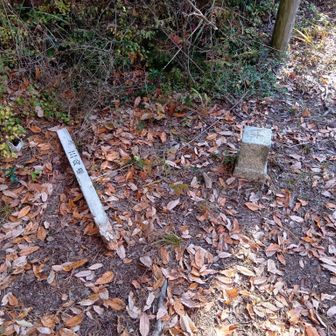 人為的に壊されたのかよ〜解らぬが…酷い事を💦