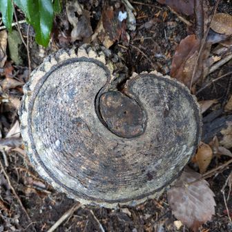 さてベンチでお茶して帰ります