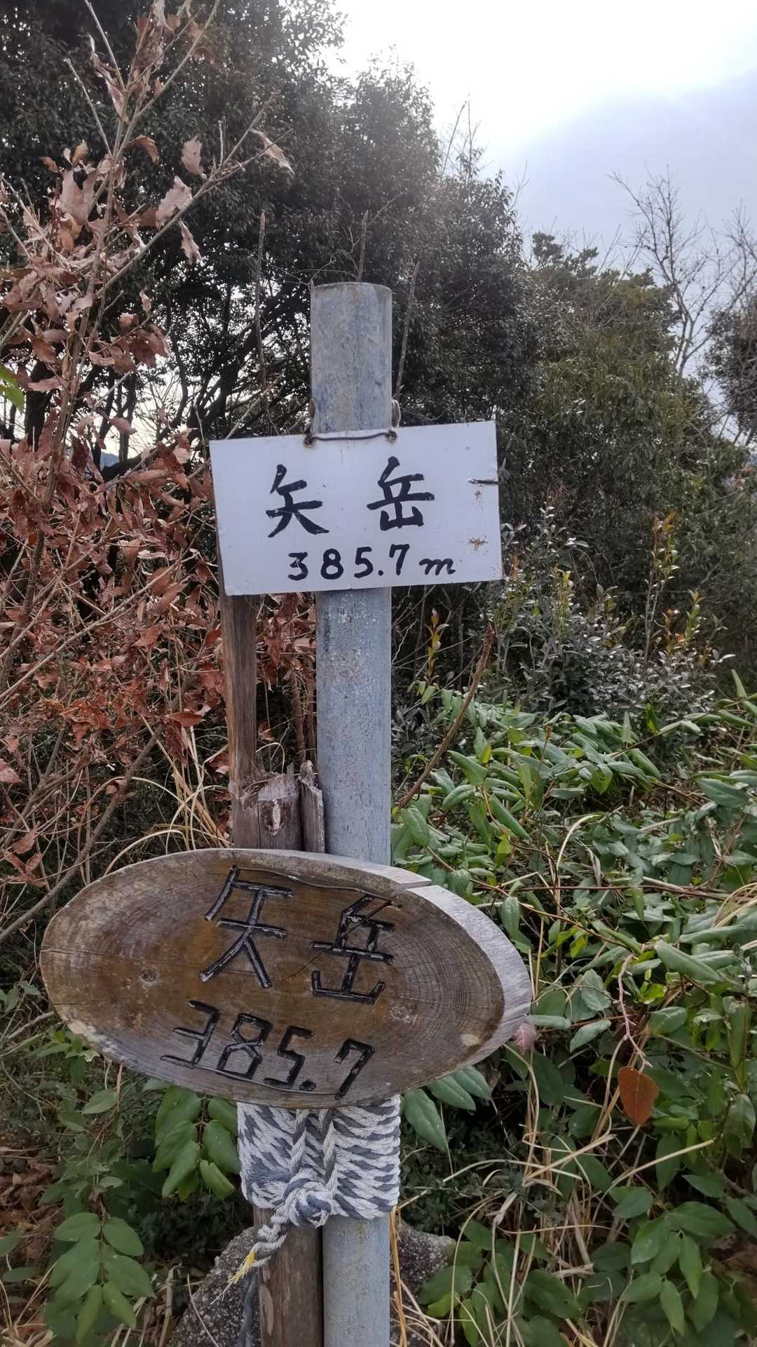 城山-矢岳 周回コースの写真