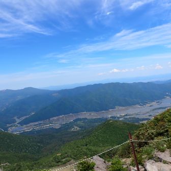 素晴らしく良く見える