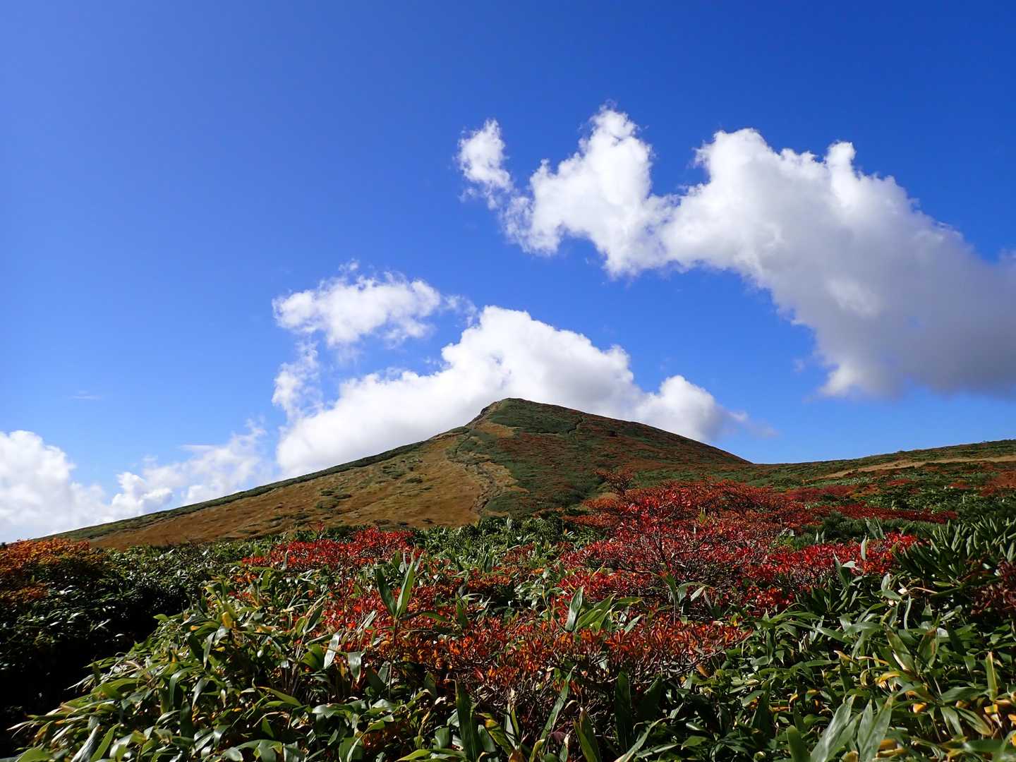 栗駒山 | 神の絨毯と称される圧倒的な紅葉美、山全体を染める極彩色のパノラマの写真