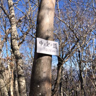 中ノ沢頭山頂