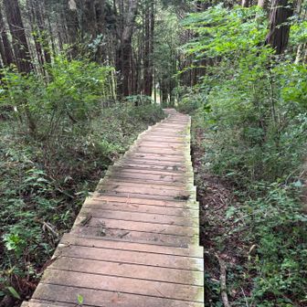 長い〜階段を降りると和田峠です　歩きやすくて助かります🙏　いつも整備していただきありがとうございます🙇‍♂️