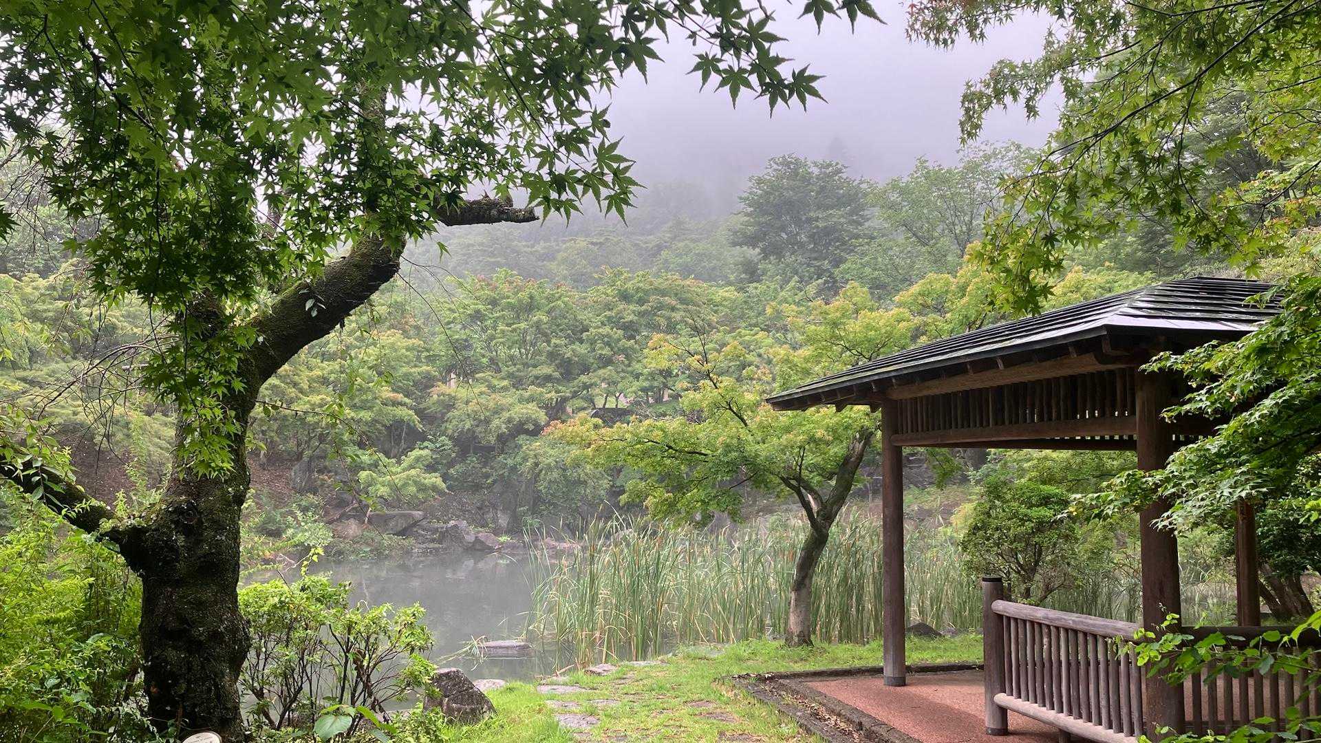 栃木・三毳山 2026年6月 / たぬ蔵さんのモーメント | YAMAP / ヤマップ