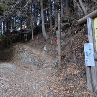 右斜め上が登山道