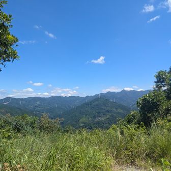 景色も良好