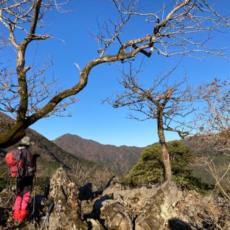 大鉢山山頂　522m