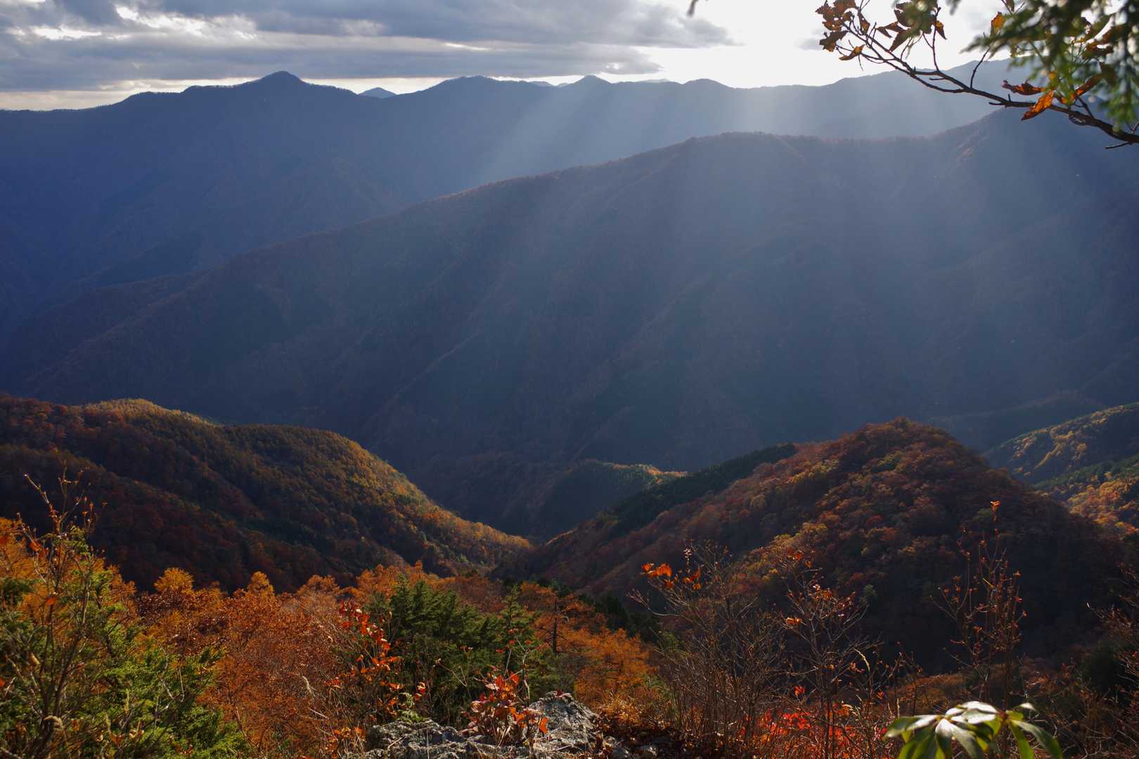 正面には今朝登ってきたタワ尾根が。その奥には雲取山へ続く石尾根が見えている。光の具合が全面の紅葉を眺めるにはいまいちだったが、なにまた何度でも来れば良いさ。