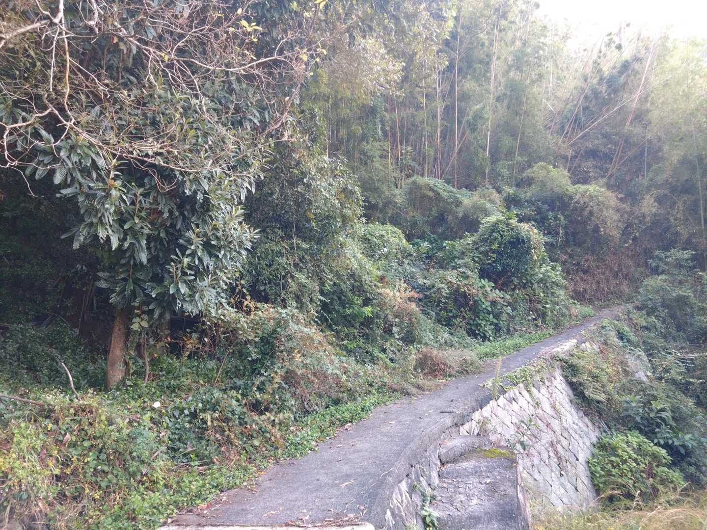 息子「大雨で地盤が緩んでるかもしれないから、連休中は登山したらだめよ」
母「え〜！心配してくれてる〜。嬉しぃ〜」
息子「黙れ！鬱陶しい！」
こんなツンデレ、私は息子と空条承太郎しか知りません。母は毎日スタンド並に張り付いて怒られています。