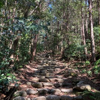 岐阜の熊野古道✨