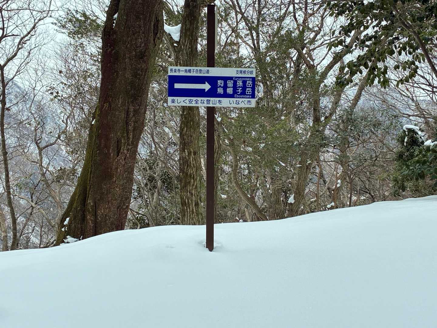 ノートレースは楽しい