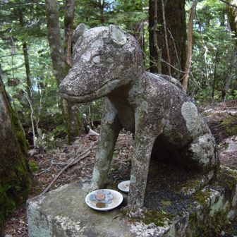 山頂近くの神社の狛犬。