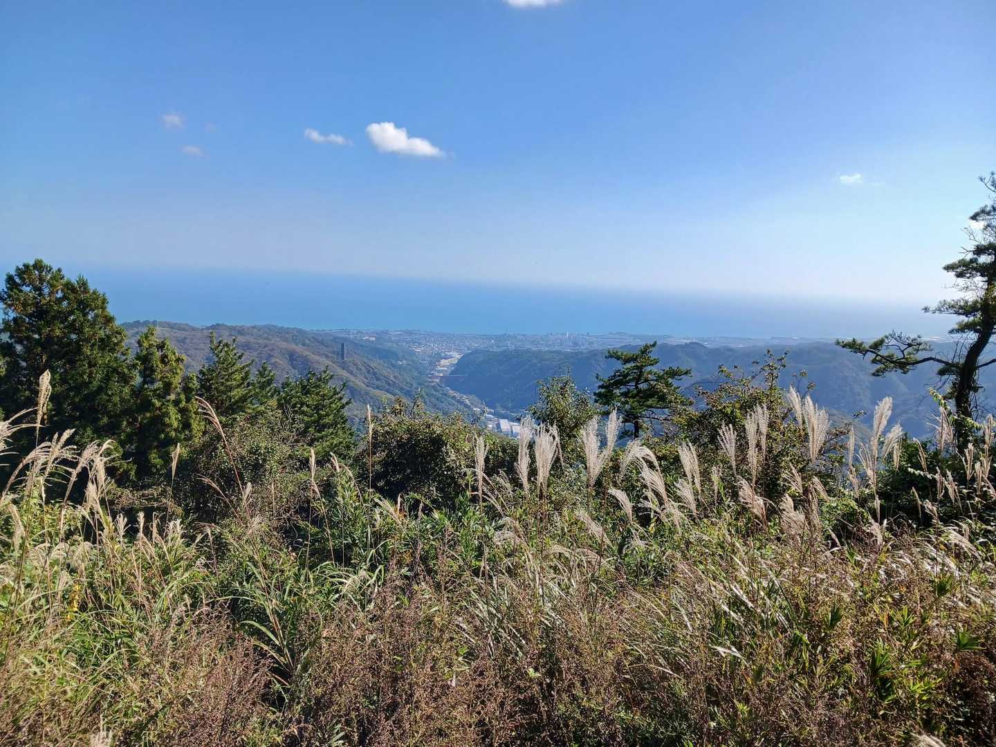 神峰山-御岩山-高鈴山 周回コースの写真