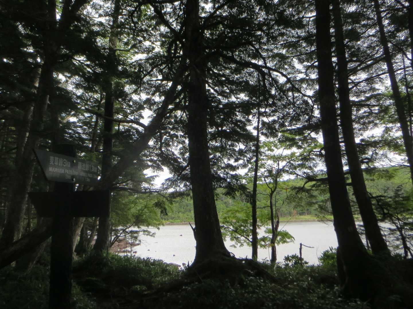 雨池に到着