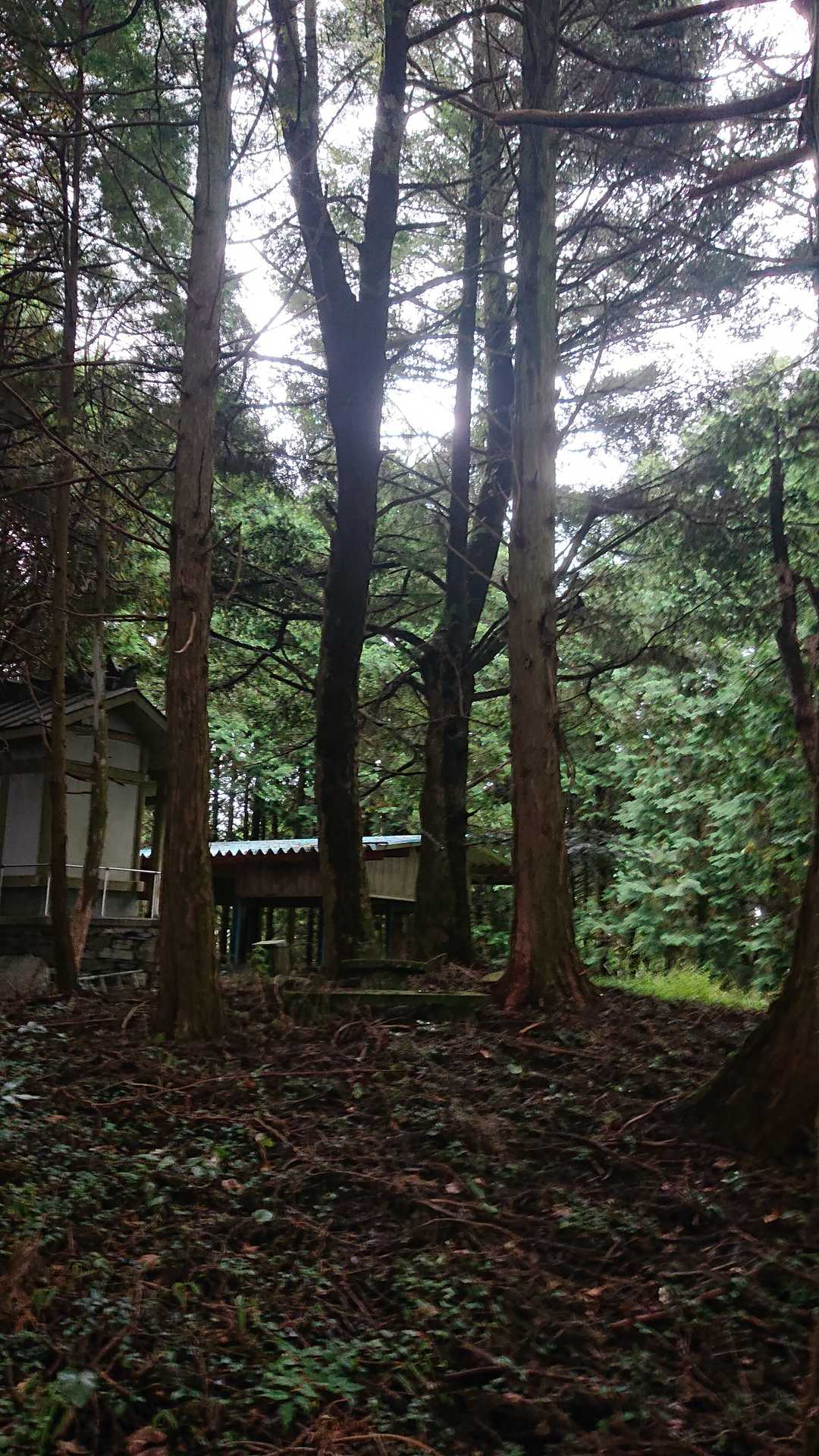 降ります➰👋😃