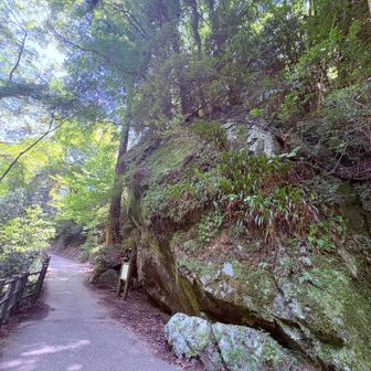 戻りまーす