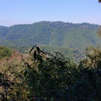 入沢山山頂からの展望
