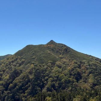 蝶槍