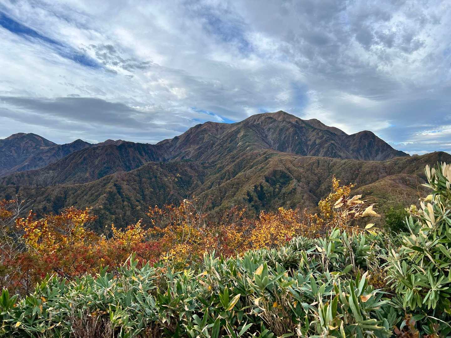 枝折峠-明神峠-道行山 往復コースの写真
