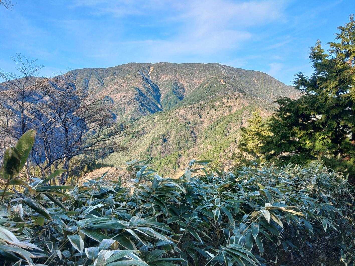 神坂峠登山口-千両山-鳥越峠-大判山-恵那山 往復コースの写真