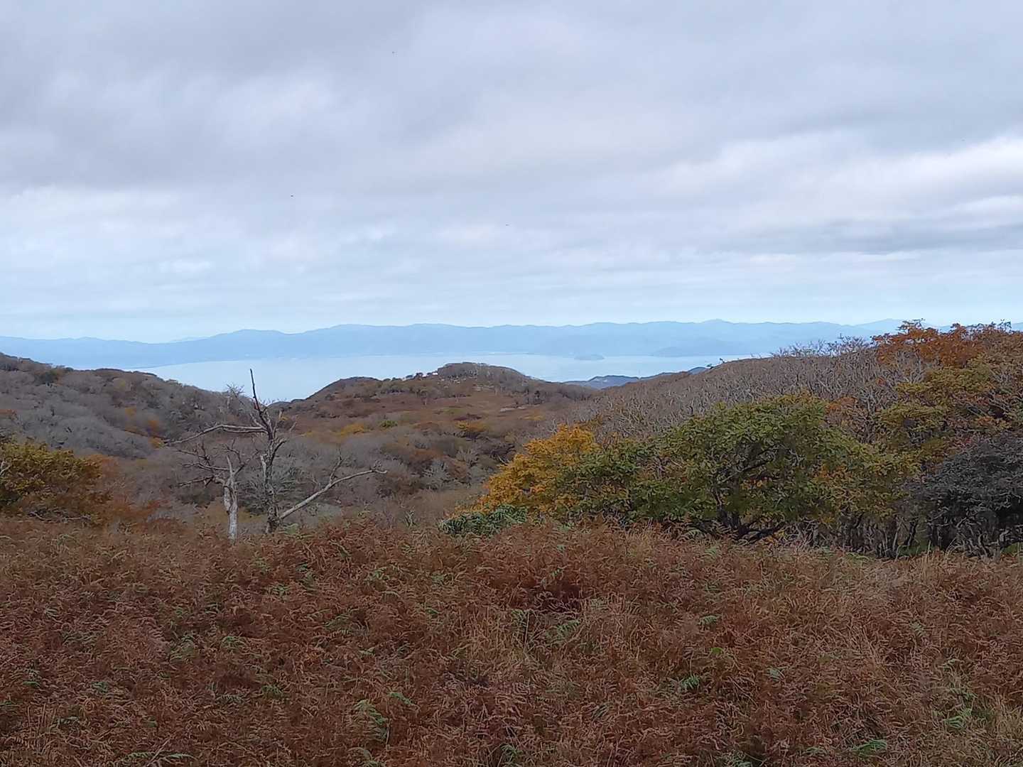 周回コースの紅葉🍁風景。