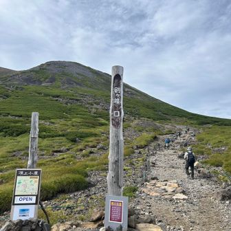 ここから登山道ぽくなりますよー