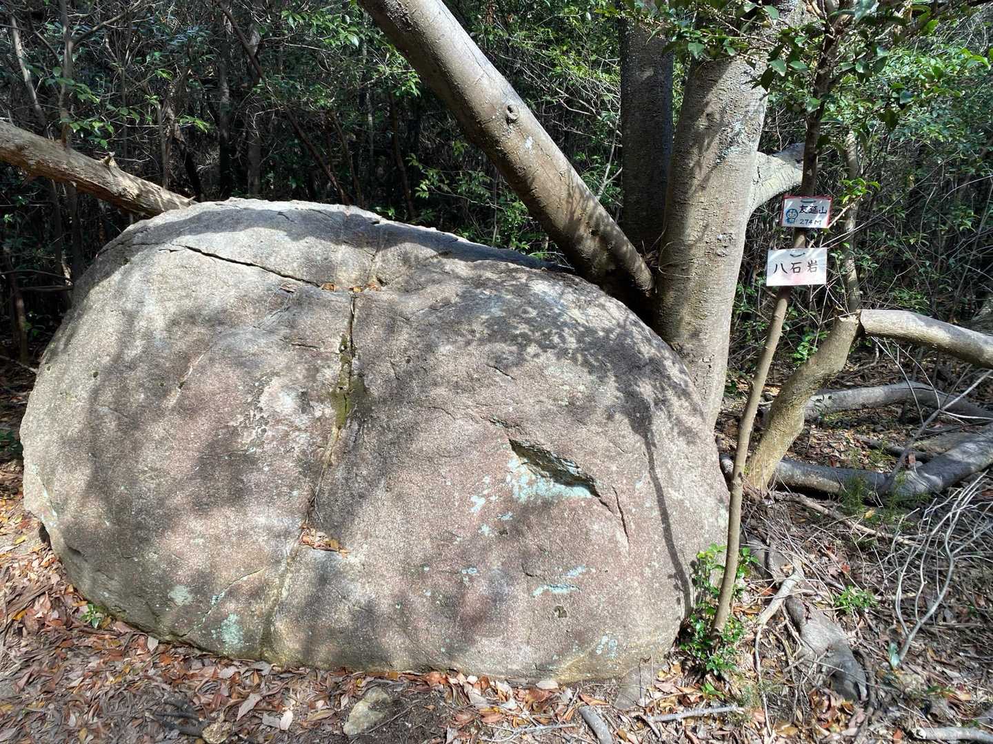 四座目🍀
友延山の山頂⛰️