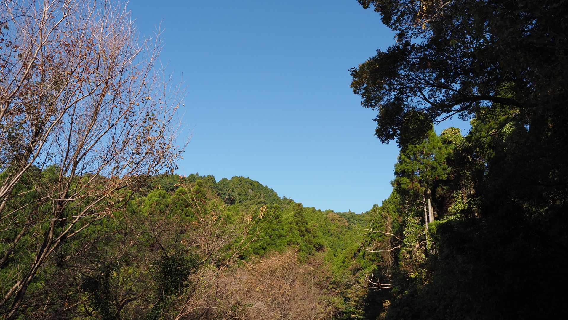 抜けると青空😁