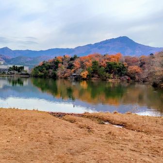 比叡山は綺麗だな